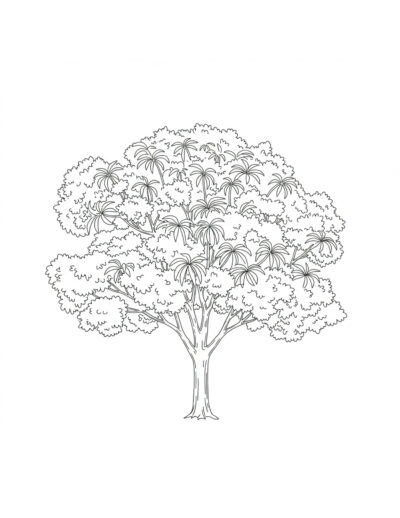 mango tree coloring pages